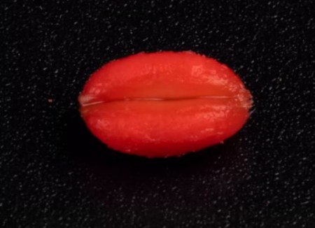 00-00011745_4.jpg