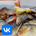 статьи о рыбалке maxfishing